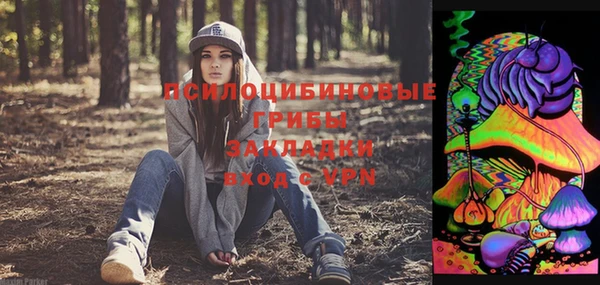 ПСИЛОЦИБИНОВЫЕ ГРИБЫ Волосово