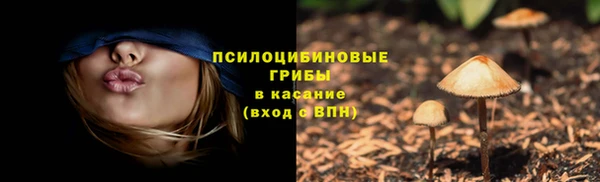 ПСИЛОЦИБИНОВЫЕ ГРИБЫ Волосово
